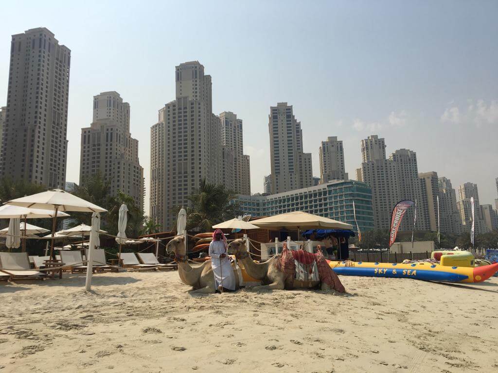 f5641542-eda2-4b7c-a18c-712dc5509505